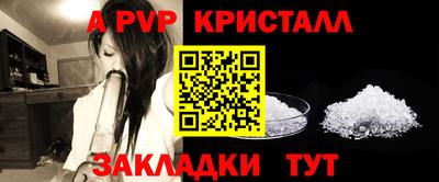 шишки Заводоуковск