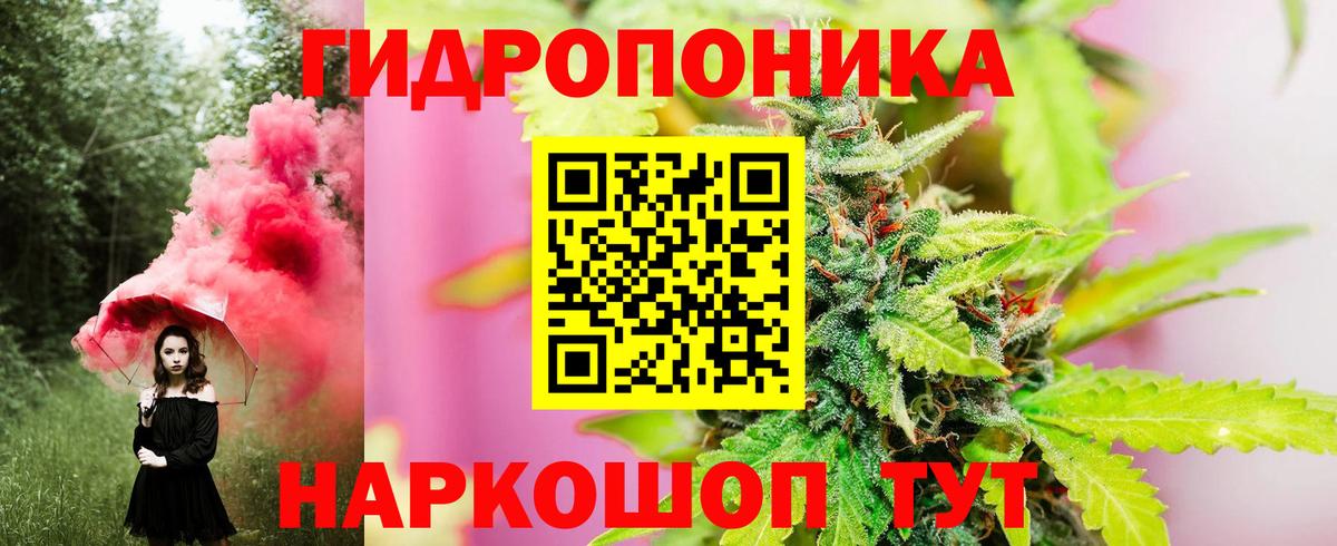 Бошки Шишки OG Kush  Канабис VHQ  Вход с VPN  Курчатов 